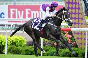 War Affair Raffles web